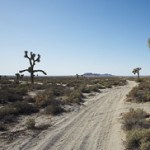 sandyroad
