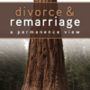 Divorce & Remarriage: A Permanence View